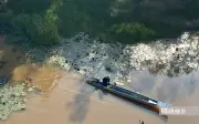 Hành trình phục hồi sếu đầu đỏ và hệ sinh thái Tràm Chim