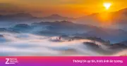 Đồi bát úp ở Bảo Lộc gây sốt mạng xã hội với vẻ đẹp hoang sơ