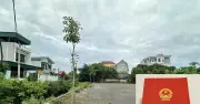 Đi dời sổ đỏ bất ngờ phát hiện 2.000m2 đất nhà mình bị cấp chồng lên nhà khác