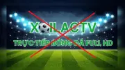 Đại sứ quán Hoa Kỳ ghi nhận nỗ lực bảo vệ bản quyền của Việt Nam
