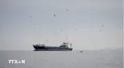 Iran kiểm soát chặt eo biển Hormuz, đàm phán cơ chế mới với Oman