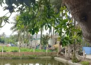 Điều tra vụ người đàn ông tử vong sau mâu thuẫn với bố đẻ