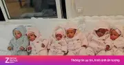 Kỳ tích y học: Người mẹ sinh 9 em bé khỏe mạnh sau 5 năm