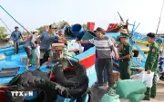 Khắc phục thẻ vàng IUU: Xử lý dứt điểm tàu cá không đủ điều kiện hoạt động