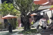 Khách Mỹ thích thú ôm đá cây bơi giữa nắng nóng Hội An