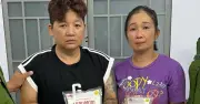 Khởi tố 3 đối tượng sản xuất bột ngọt, hạt nêm giả quy mô lớn ở Tây Ninh