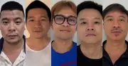 Khởi tố 5 vụ án xâm phạm quyền tác giả trong lĩnh vực giải trí