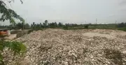 Khởi tố bị can vì đổ 324,5 tấn vỏ hàu ra môi trường ở Vân Đồn