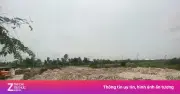 Khởi tố người phụ nữ đổ hơn 324 tấn vỏ hàu ra môi trường tại Quảng Ninh