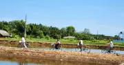 Khám phá Cồn Chim: Ốc đảo xanh giữa dòng sông Cổ Chiên