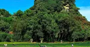 Khám phá Hà Tiên và Thất Sơn qua du ký xưa: Cảnh sắc như tiên cảnh