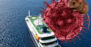Khủng hoảng y tế trên du thuyền MV Hondius: Virus Hanta bùng phát và chiến dịch sơ tán quốc tế