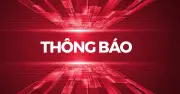 Khánh Hòa thông báo tạm giữ 371 phương tiện vi phạm giao thông