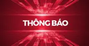 Khánh Hòa tạm giữ 80 phương tiện vi phạm giao thông, thông báo tìm chủ