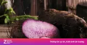 Khoai mỡ: 'Siêu thực phẩm' dân gian giá rẻ giúp dưỡng tim, ngừa bệnh