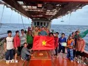 Kiện toàn Ban Chỉ đạo quốc gia về IUU