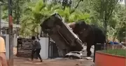 Kinh hoàng cảnh vỡ nợ, nợ điện hất tung ô tô khiến 1 người thiệt mạng