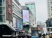 Kinh tế số là chủ đề trọng tâm tại Hội nghị Bộ trưởng Thương mại APEC
