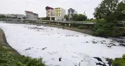 Kênh Kim Đôi Bắc Ninh ô nhiễm nặng, nước đen bọt trắng hôi thối