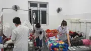 Lai Châu: 206 học sinh nghi ngộ độc do ăn quả lạ, đã ổn định sức khỏe