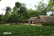 Lan tỏa giá trị văn hóa lịch sử di tích Kim Liên trong kỷ nguyên số