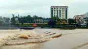 Lực lượng biên phòng hỗ trợ dân di dời tránh lũ tại Móng Cái