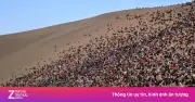 Lạc đà 'tăng ca' chở khách giữa biển người ở núi Minh Sa dịp lễ 1/5