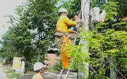 Lịch cúp điện Cà Mau, Bạc Liêu từ 15-17/5/2026: Hàng loạt khu dân cư mất điện