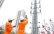 Lịch cúp điện Lâm Đồng Đà Lạt từ 7-10/5/2026: Cập nhật danh sách khu vực bị mất điện