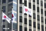 LG Electronics tiếp tục dẫn đầu thế giới với hơn 50% thị phần TV OLED toàn cầu