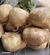 Lợi ích bất ngờ của loại củ dân dã bán đầy chợ Việt Nam