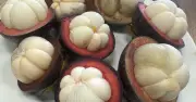 Lợi ích sức khỏe từ măng cụt và ai nên hạn chế ăn?
