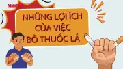Lợi ích tức thì khi bỏ thuốc lá: Sức khỏe cải thiện từng phút
