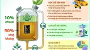 Lợi ích vượt trội của xăng sinh học E10 đối với môi trường và động cơ