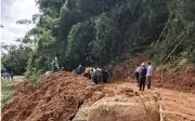 Lâm Đồng chuyển đổi 5,4 ha rừng làm công trình khẩn cấp chống sạt lở Quốc lộ 28