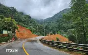 Lâm Đồng sẽ cấm đèo Bảo Lộc từng đợt 15 phút để phục vụ thi công sửa chữa