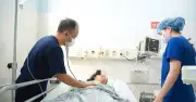 Làm việc lâu dưới nắng nóng gay gắt, 2 người bị co giật hôn mê
