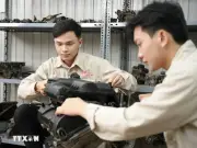 Lần đầu đưa ra khái niệm trải nghiệm nghề nghiệp tại doanh nghiệp