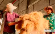 Làng nghề chỉ xơ dừa An Thạnh hơn 40 năm giữ lửa nghề truyền thống