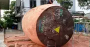 Làng trống Lâm Yên: Hành trình 200 năm của 'cây đại thụ' và người kế thừa