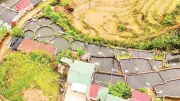 Lào Cai phát triển nuôi cá nước lạnh, hướng đi bền vững cho vùng cao