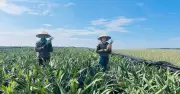 Lào Cai đẩy mạnh tuyên truyền, nâng cao nhận thức phát triển thị trường trong nước