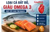Loại cá đắt đỏ giàu omega-3 cực tốt cho tim mạch