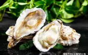 Loại hải sản béo ngon giàu protein, hai cách chế biến tại nhà