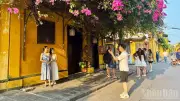 Loại hình lưu trú là tiêu chí quan trọng nhất với du khách Việt năm 2026