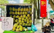 Loạn giá sầu riêng: Nơi bán vài chục nghìn, nơi lên tới hàng trăm nghìn một kg