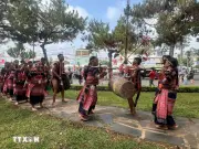 Đảm bảo Nghị quyết 28 về phát triển văn hóa được triển khai đồng bộ, thống nhất