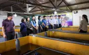 Mô hình nuôi lươn không bùn của chị Hoàng Thị Yến: Hướng đi bền vững cho nông nghiệp Hà Tĩnh