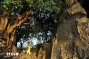 Mã nhải non nước vẫn từ khắc núi đá trên hành trình đến di sản tư liệu UNESCO