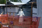 Mỹ thắt chặt kiểm soát y tế và hạn chế nhập cảnh trước nguy cơ virus Ebola
